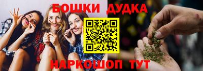 МДПВ Бийск