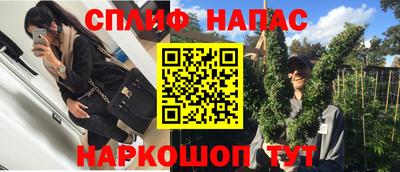 МДПВ Бийск