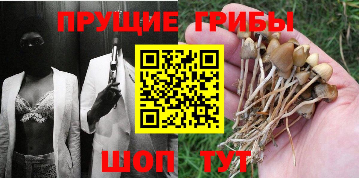 Карталы  Галлюциногенные грибы MAGIC MUSHROOMS  Галлюциногенные грибы Psilocybine cubensis  Вход с VPN 